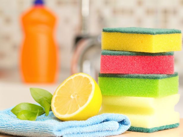 Kitchen sponges are bacteria's dream home